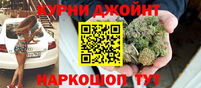 сатива Бузулук