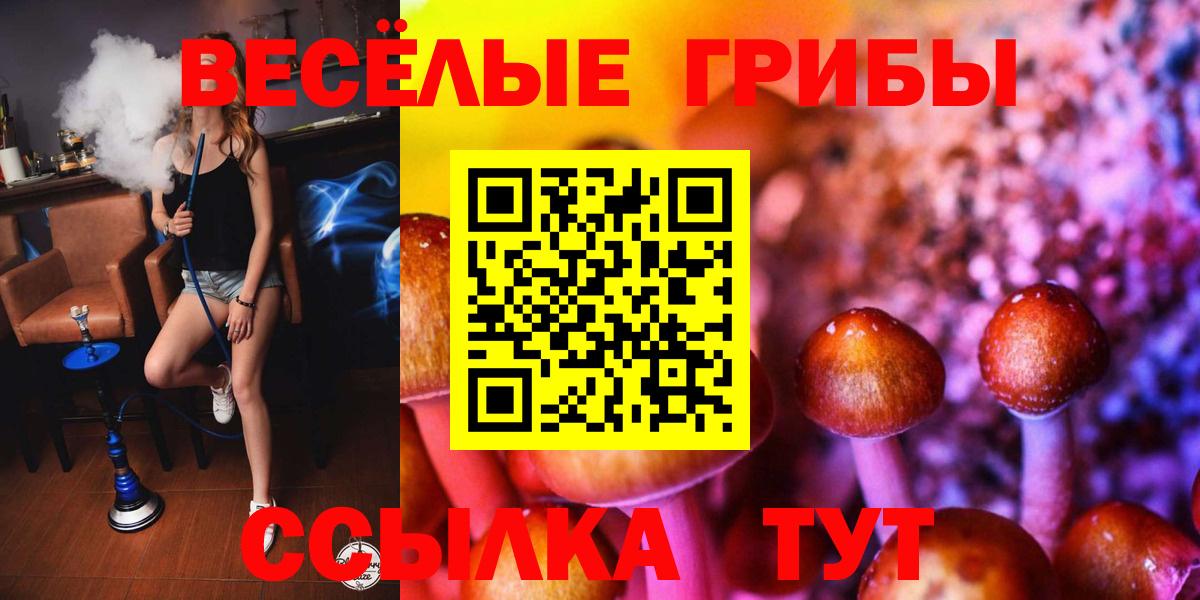 купить наркотик  Галлюциногенные грибы GOLDEN TEACHER  Санкт-Петербург  Вход с VPN  Псилоцибиновые грибы прущие грибы 