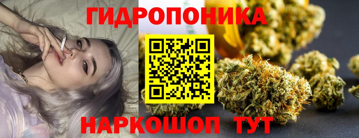 Санкт-Петербург  Марихуана SATIVA & INDICA  Вход с VPN  МАРИХУАНА THC 21% 